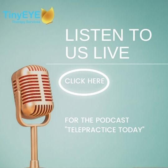 Live with “Telepractice Today” & Our Founder Marnee Brick